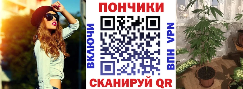 Купить закладку ГАШ  КОКАИН  Меф мяу мяу  Каннабис  Псков