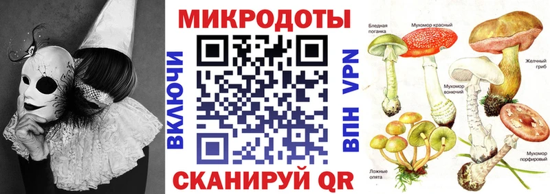 Галлюциногенные грибы Cubensis  Купить закладки  Псков